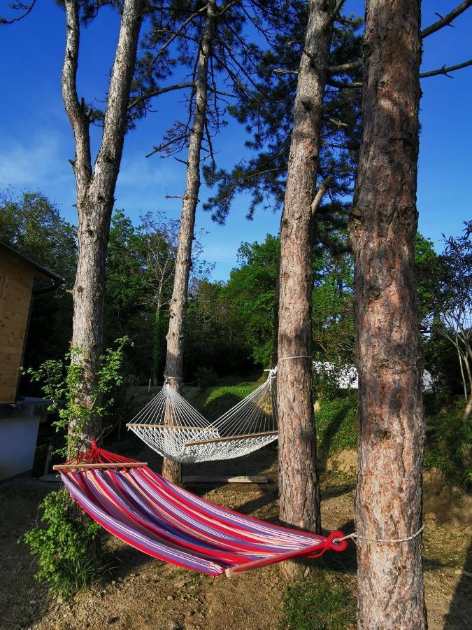Active Chillax Oasis Apartments Ankaran Exteriér fotografie